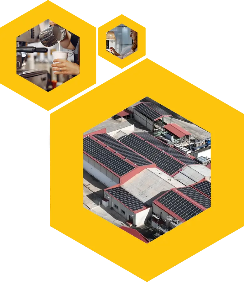 logo de colmena solar con imagenes de autoconsumos dentro y consumidores